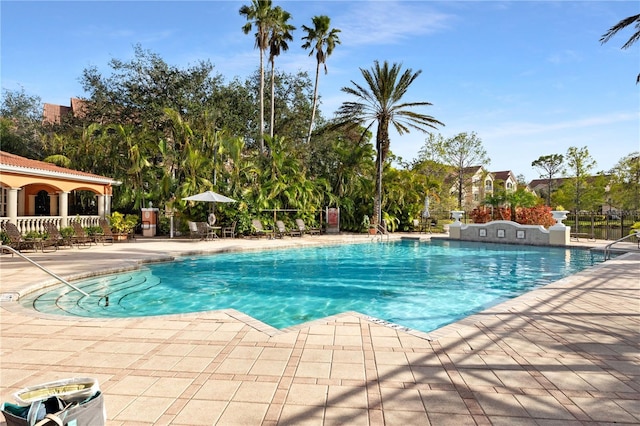 view of swimming pool with a patio area