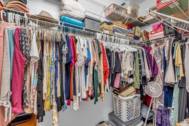 view of walk in closet