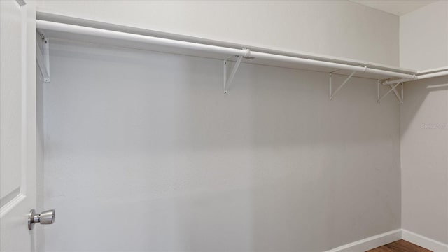 spacious closet with dark wood-type flooring