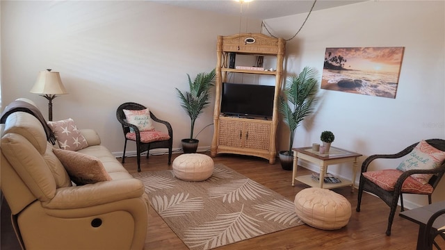 living area featuring hardwood / wood-style floors