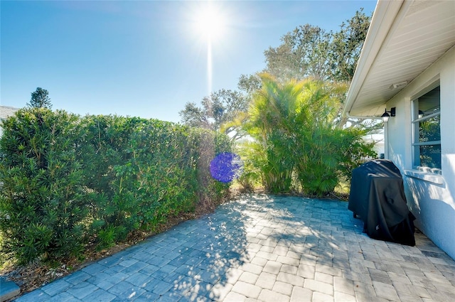 view of patio / terrace with area for grilling