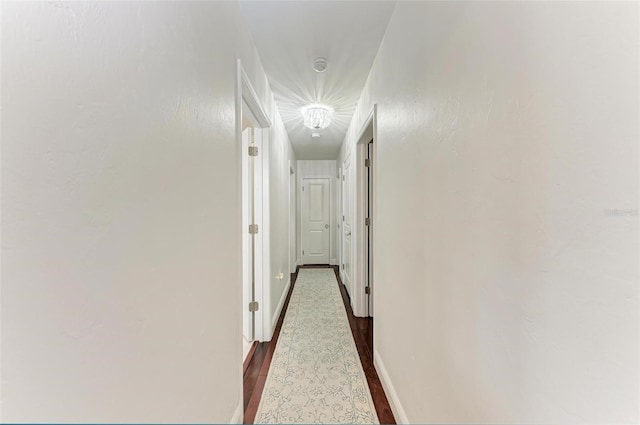 corridor with dark hardwood / wood-style flooring