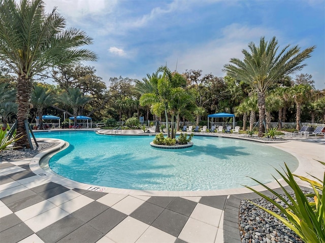 view of swimming pool with a patio area