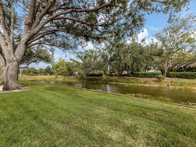 view of yard with a water view