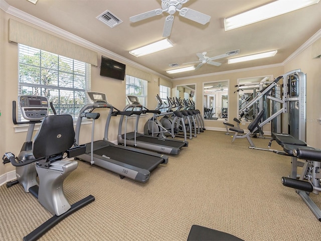 gym featuring ornamental molding, ceiling fan, and light carpet