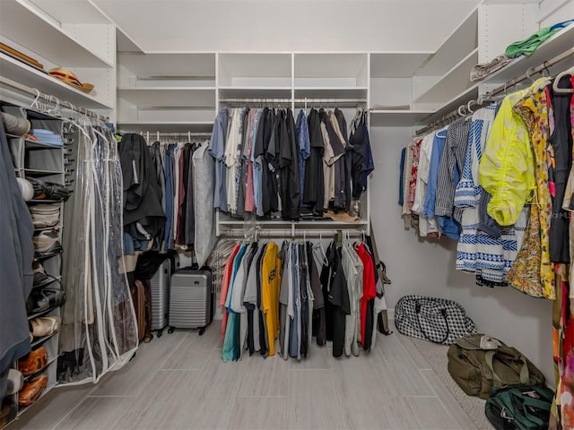 view of walk in closet