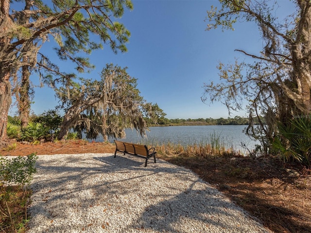 view of home's community with a water view