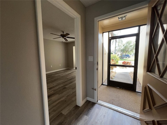 doorway featuring ceiling fan, baseboards, and wood finished floors