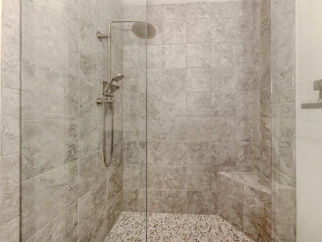 5733 Semolino St, Nokomis, FL 34275 - full bath with a tile shower