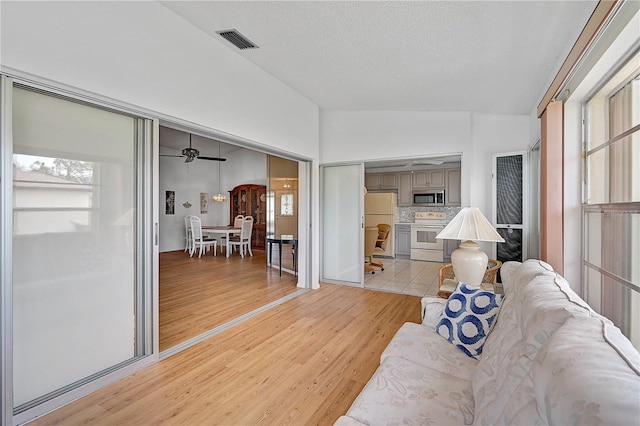 living room featuring a textured ceiling and light hardwood / wood-style flooring