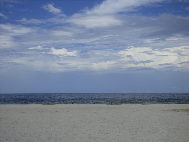 water view featuring a beach view