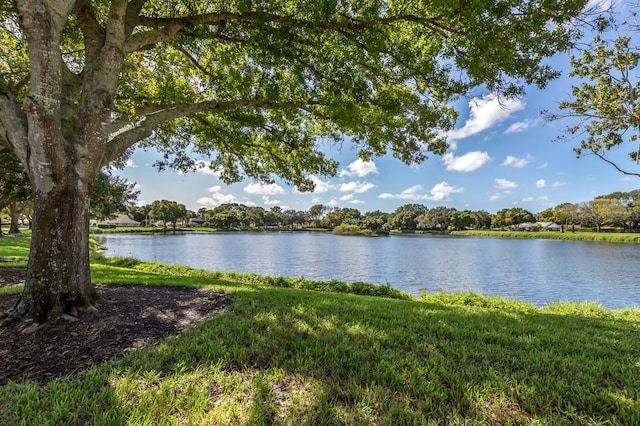 property view of water