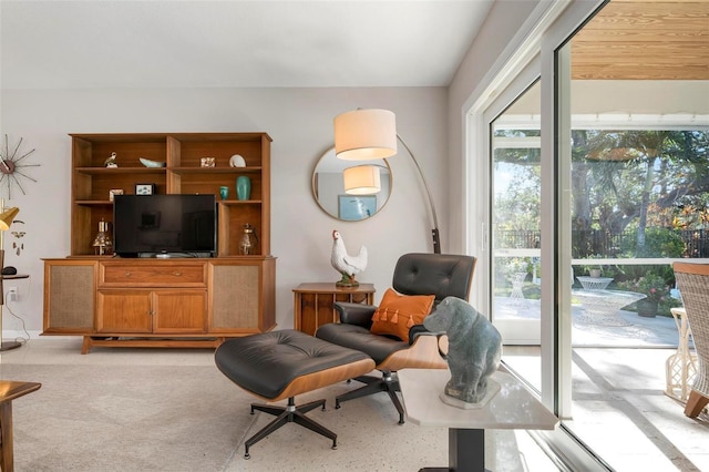 living area with light carpet