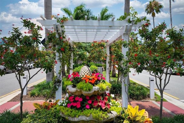 view of property's community with a pergola