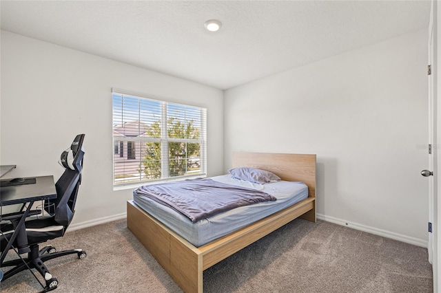 16766 Carlton Pond St, Wimauma, FL 33598 - bedroom featuring carpet floors