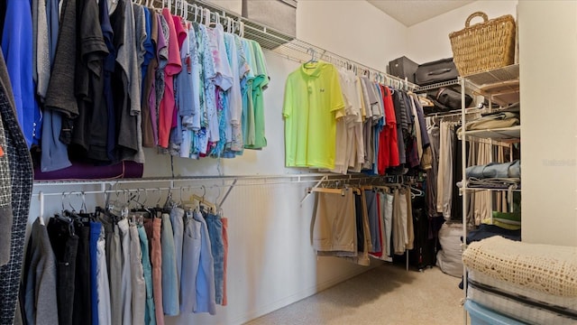 spacious closet with carpet