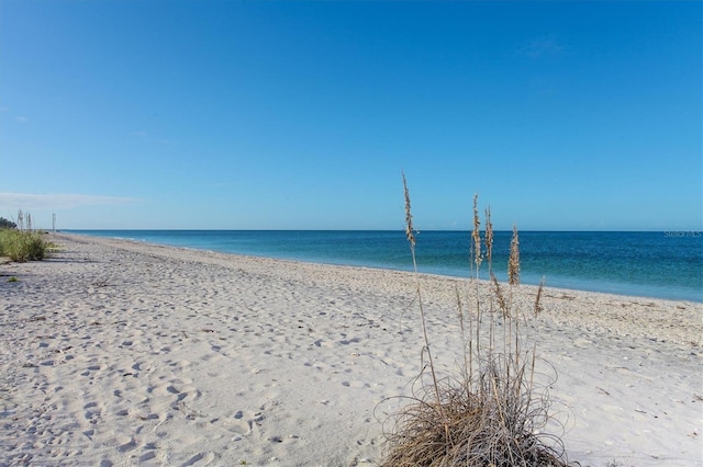 view of water feature featuring a beach view