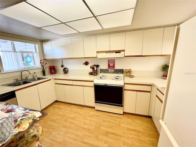 kitchen with white range with electric cooktop, ventilation hood, sink, and light hardwood / wood-style flooring