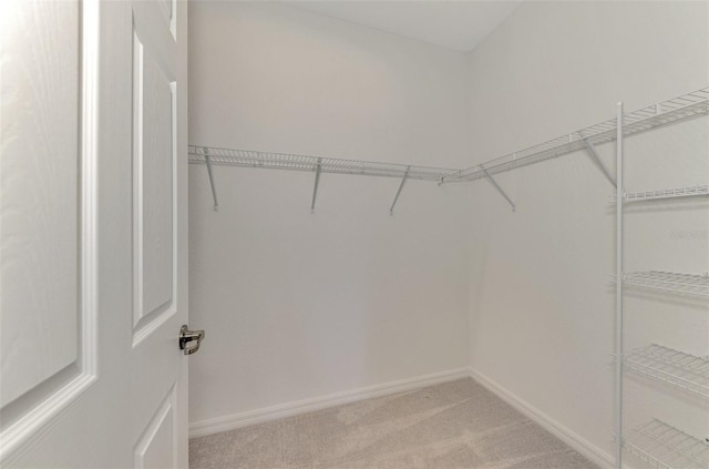 10217 Staggerbush Dr Unit 202, Venice, FL 34293 - photo 29