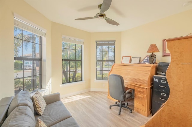 office with ceiling fan and light hardwood / wood-style flooring