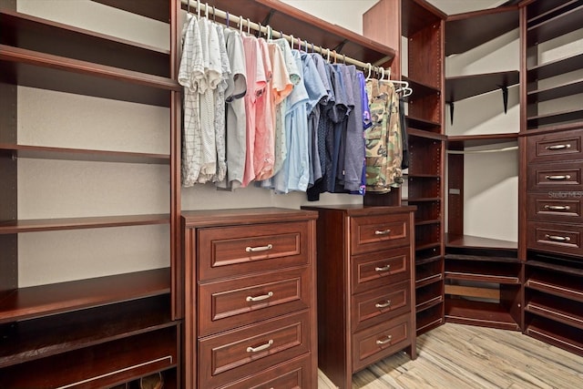 spacious closet featuring light hardwood / wood-style flooring