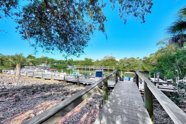 dock area with a water view