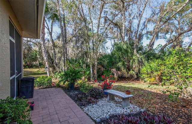 view of yard with a patio area