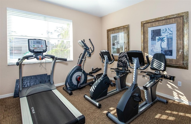 workout room featuring carpet