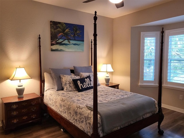 201 Auburn Woods Cir, Venice, FL 34292 - bedroom with wood finished floors, multiple windows, and a ceiling fan
