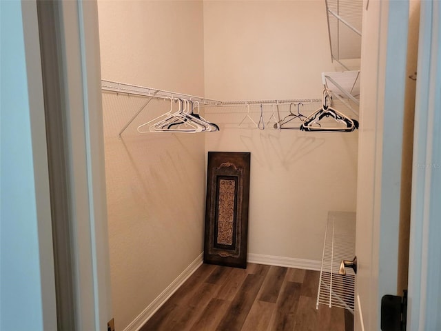 201 Auburn Woods Cir, Venice, FL 34292 - walk in closet with dark wood-type flooring