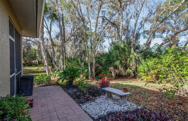 201 Auburn Woods Cir, Venice, FL 34292 - view of yard with a patio area