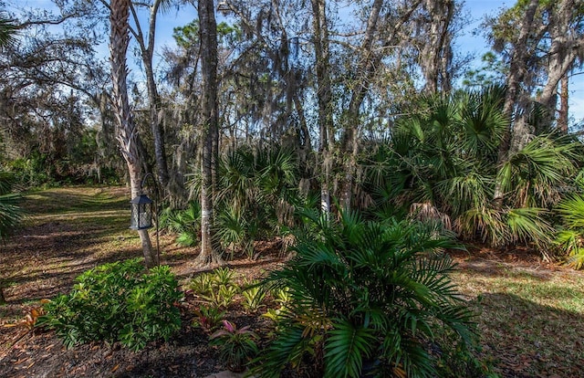 201 Auburn Woods Cir, Venice, FL 34292 - view of yard