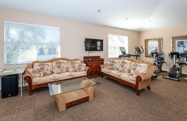 201 Auburn Woods Cir, Venice, FL 34292 - living room featuring carpet flooring and baseboards