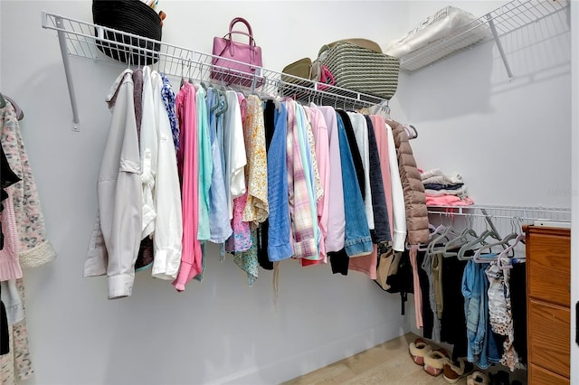 spacious closet featuring wood-type flooring