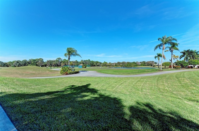 view of community with a lawn