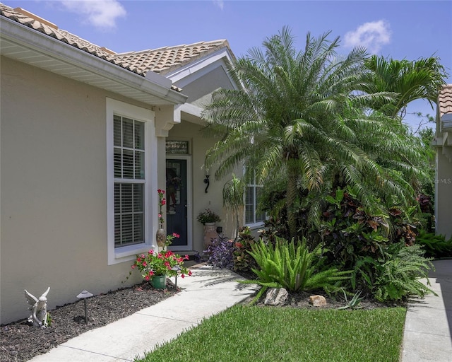1890 San Trovaso Way, Venice, FL 34285 - photo 3