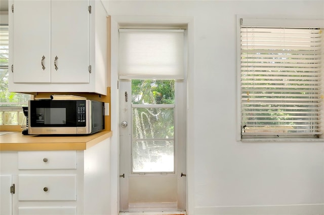 doorway to outside featuring a wealth of natural light