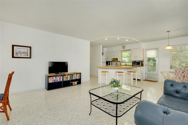 living room featuring a healthy amount of sunlight