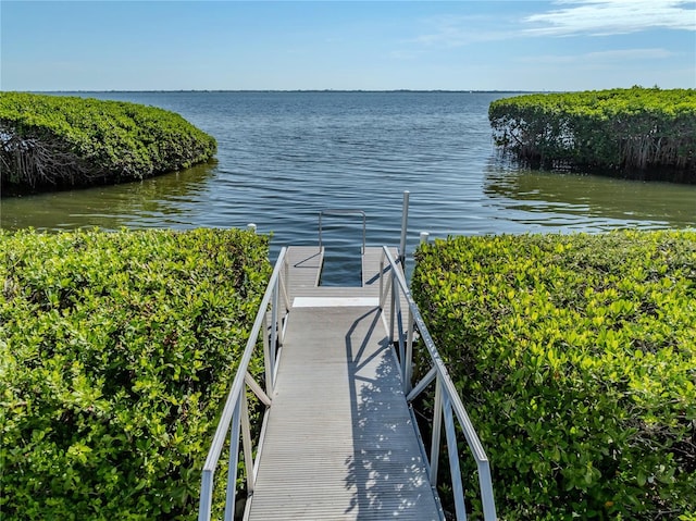 property view of water with a boat dock