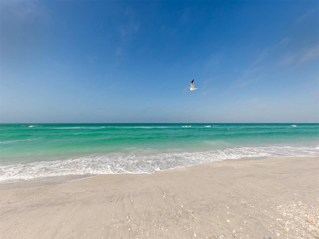 property view of water with a beach view