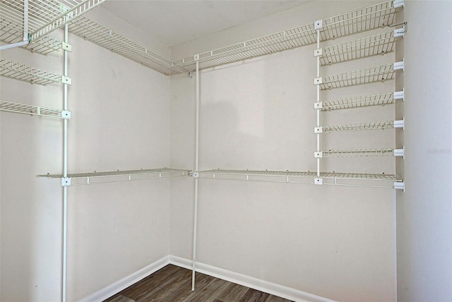 spacious closet with dark wood-type flooring