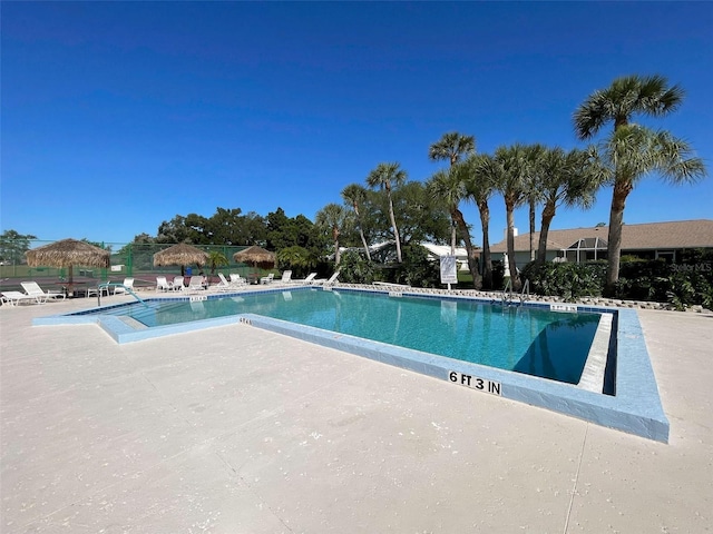 view of pool featuring a patio