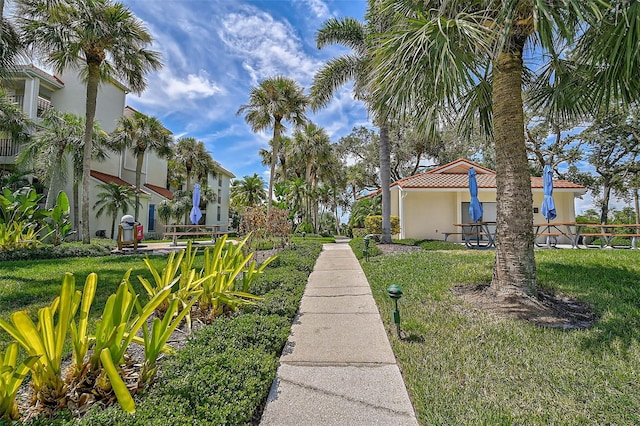 view of community featuring a lawn