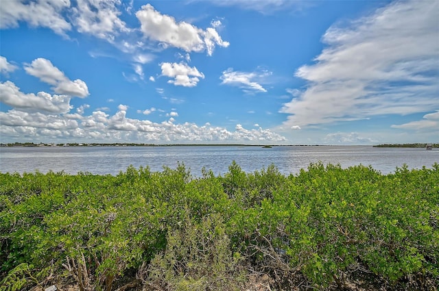 water view