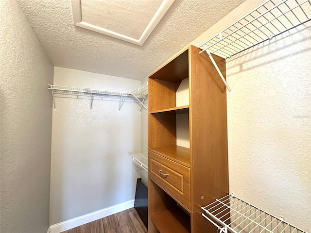 spacious closet featuring dark hardwood / wood-style flooring