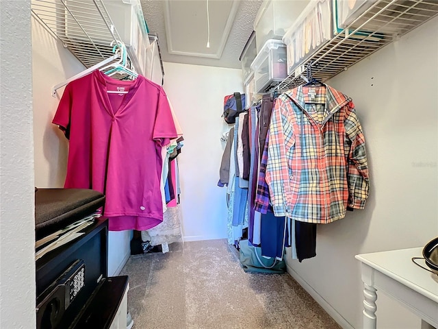 spacious closet featuring carpet and attic access