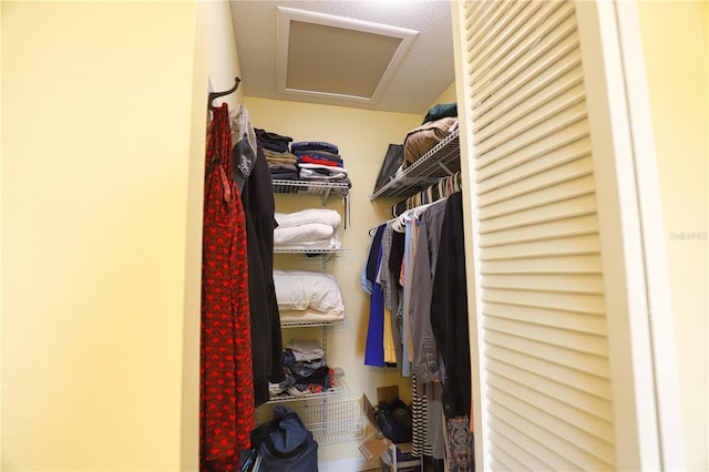 view of walk in closet