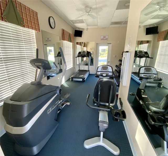 workout area with carpet floors, a paneled ceiling, and ceiling fan