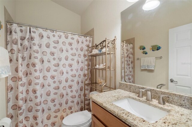 bathroom featuring vanity, toilet, and curtained shower