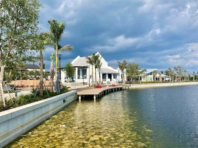 dock area with a water view